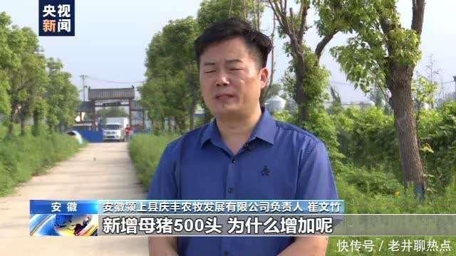 上半年|全国“菜篮子”产品供应总量充足 上半年生猪生产好于预期