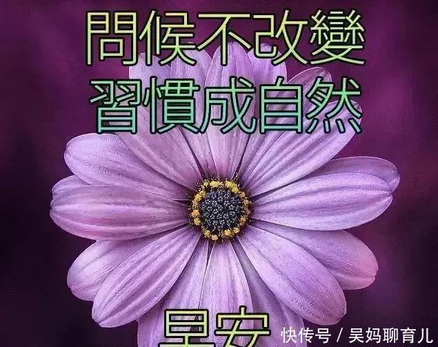 味道|有一种心情,叫喜怒哀乐;有一种味道,叫酸甜苦辣咸,早安