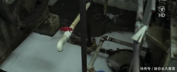 买单|你穿的每一条牛仔裤, 都是在用生命买单