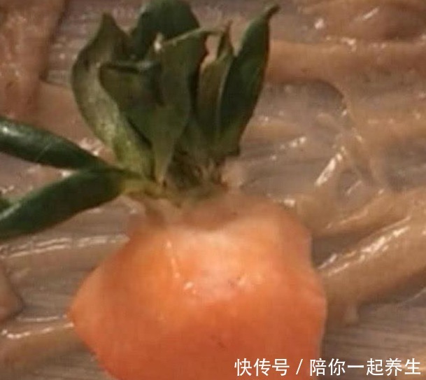 脱掉|那些“脱掉衣服”的水果,草莓直接变身胡萝卜,看看你能认全吗