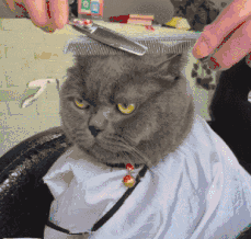  真牛|搞笑GIF：这技术是真牛，还是保持点距离好！