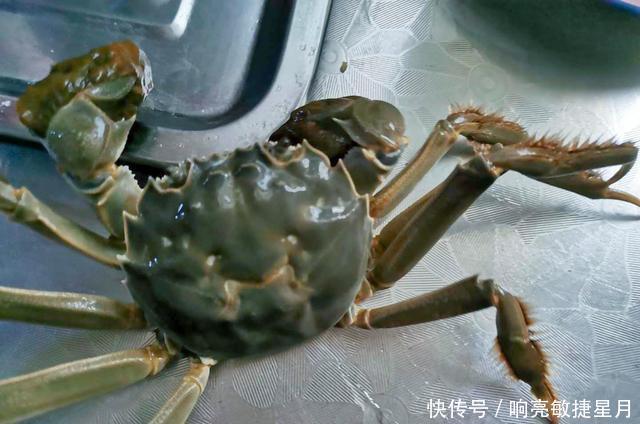 不错|今年你吃螃蟹了吗我已经吃了两次了,味道还不错