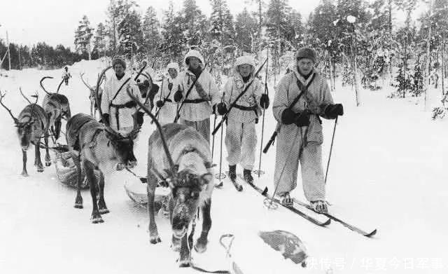 毒蛇|两次世界大战期间,为何没有国家敢侵略瑞典?苏联:她是毒蛇