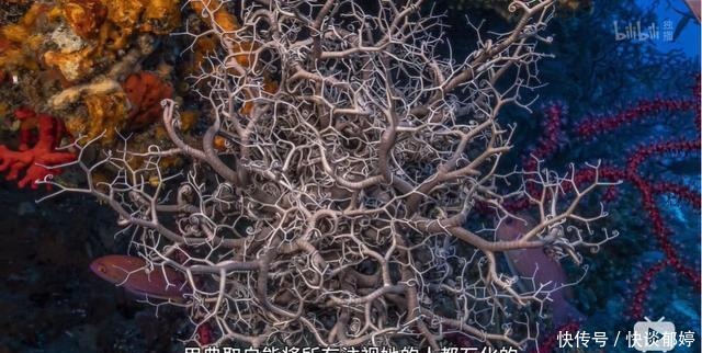  视效|仅4个人，拍出了今年最顶级的视效大片