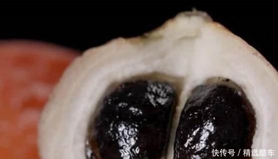 种水果|世界上最甜的水果,没人敢直接吃它,甜度是食糖的30000倍!