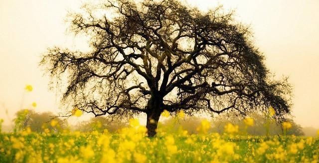  句句|最值得收藏的经典语录，句句深入人心，说出了你的心声