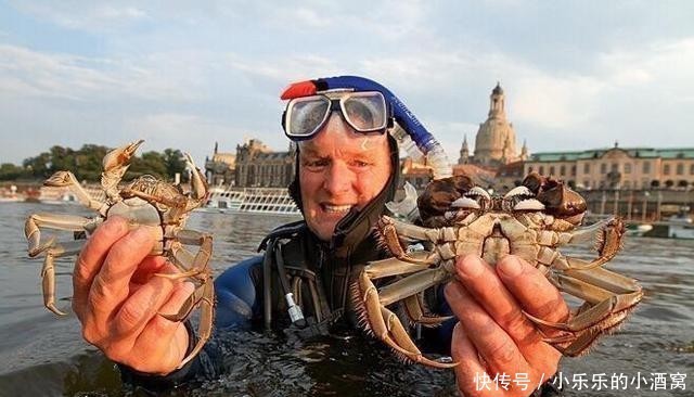 国家|德国人快愁哭了:为什么你们非要来我们国家,不去找中国