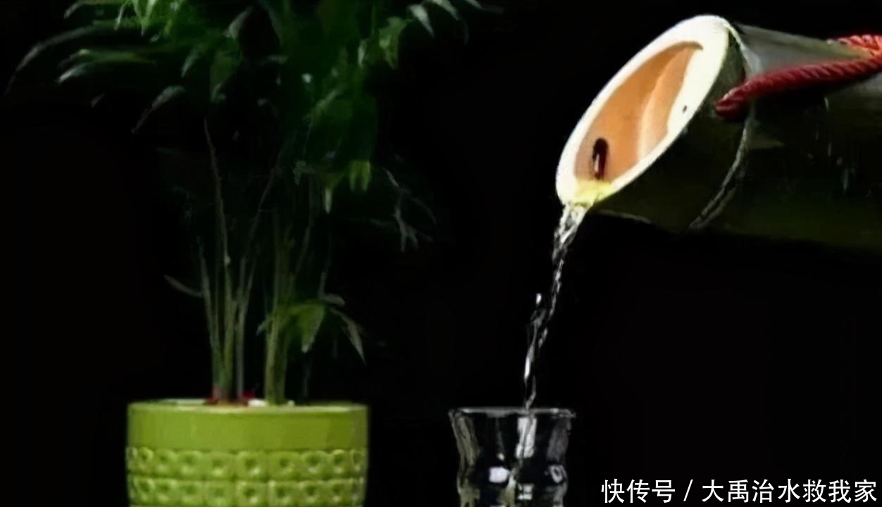 白酒|请注意:这些“白酒”全是假的酒!很多人都在喝