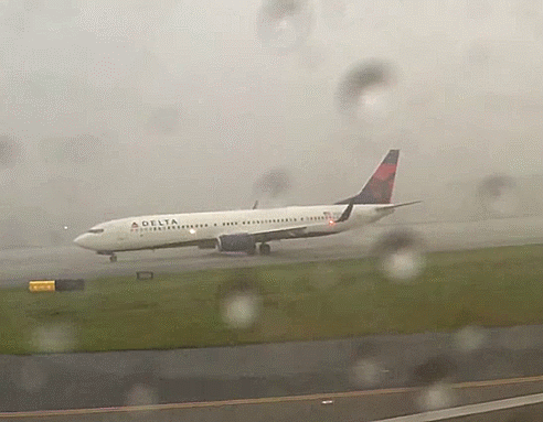 恩爱|搞笑GIF:强行秀恩爱,后果果然很严重!