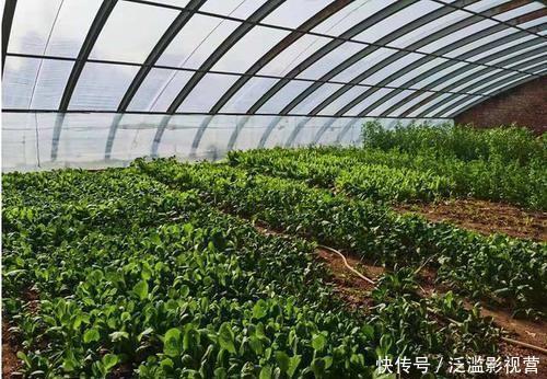  豪宅|赵本山不住豪宅回农村，头发花白满脸皱纹，灶台旁烧火做饭有精神