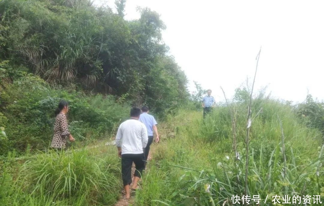 找回|急群众之所急,派出所民警迅速为群众找回丢失耕牛