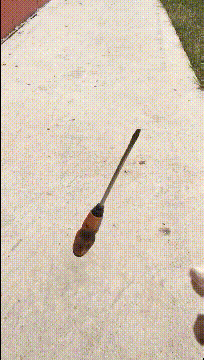 假动作|搞笑GIF:小伙子,这个假动作我给你满分