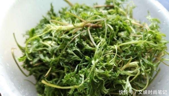 喜欢吃|日本人疑惑:我们每天要吃的长寿菜,为何中国人如此嫌弃?