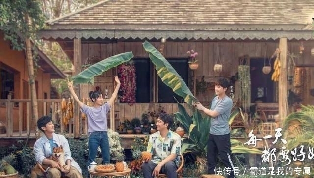 张子枫|张子枫参加《向往》录制被喷?节目组的回应太“打脸”