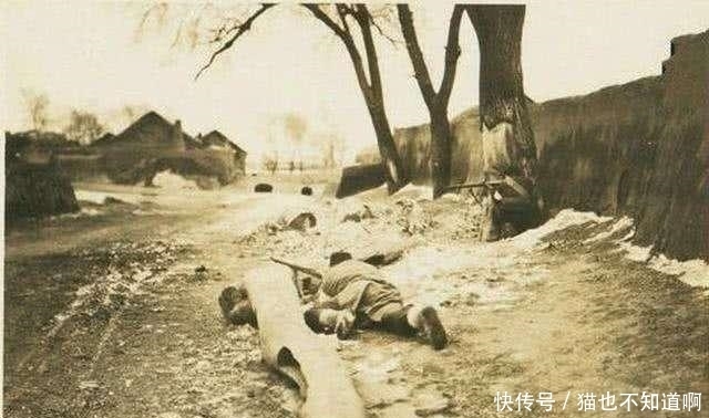 胡茂盛|最后一个惯匪——最后一个惯匪的覆灭