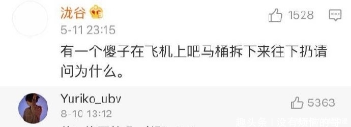 主人|主人第一次带猫坐车出去玩,它的反应哈哈哈