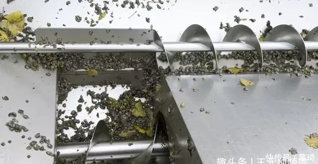 高价|别卡速:低价酒与高价酒的本质区别在哪里【红酒知识36】