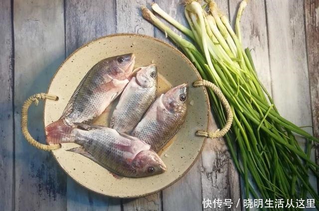 糖醋|土鲫鱼最好吃的方法,糖醋葱烧,连骨酥,开胃健脾