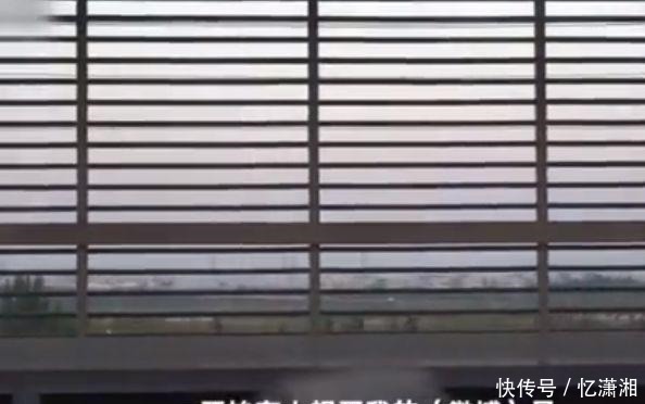 回归|去年中1亿的锦鲤信小呆，信用卡被刷爆，最终还是选择回归工作