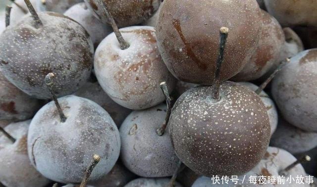 冻西瓜|这五种水果冻着吃远比直接吃更美味,特别是第二种,都说百吃不厌