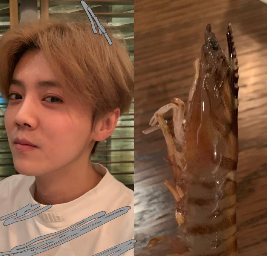 陈赫|陈赫和鹿晗互晒丑照之后,邓超也加入了,跑男团真实关系一目了然