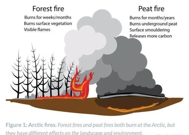图源|北极圈着火!气温直逼38度,科学家恐冰川融化远古病毒复活