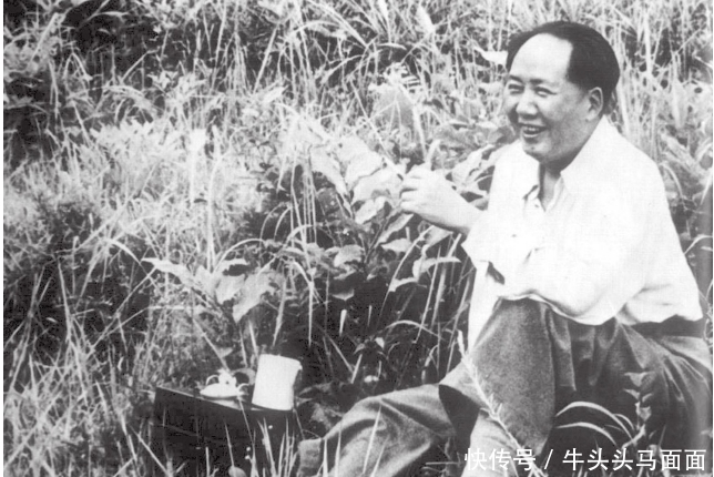 如今|毛主席的晚餐有多简单?以至工作人员如今回忆起来,都羞愧不已