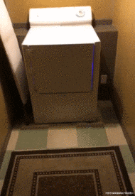 爸妈|搞笑GIF:爸妈才是真爱,我只是个小小的意外!