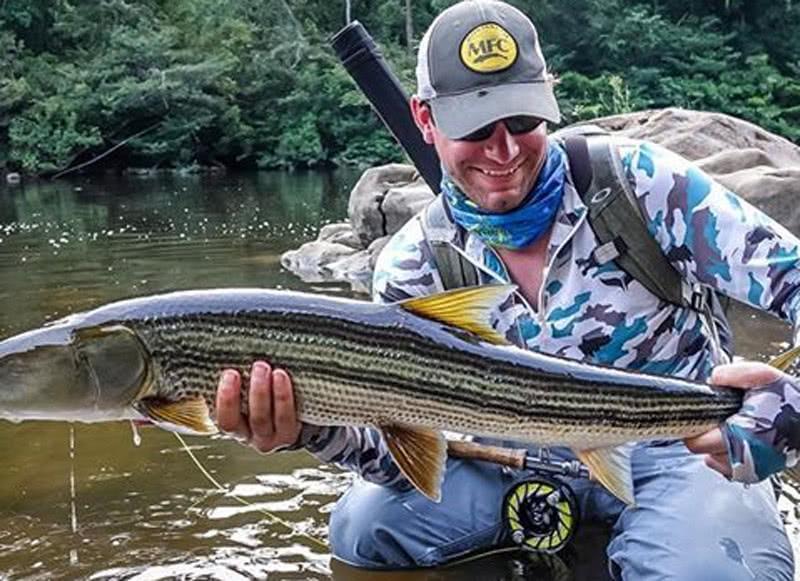 经完全消失|曾经的“长江一霸”,如今却无奈出国,到别国“求生存”