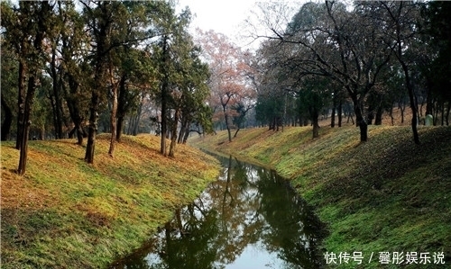  山东|为何山东孔林千年来乌鸦不栖，蛇类远避？专家：你看它用什么建的