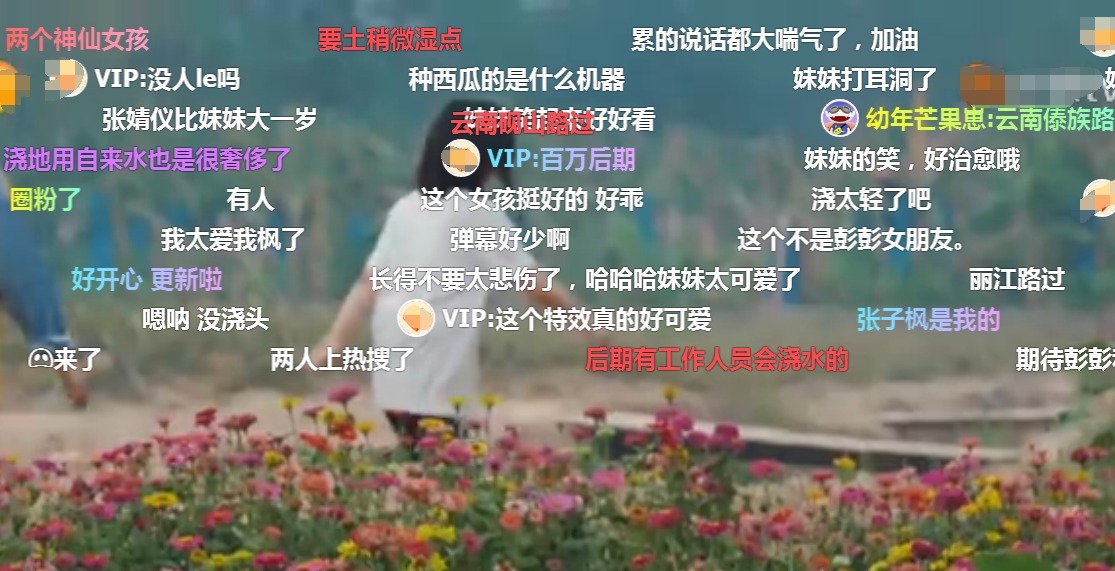 向往|向往的生活张子枫给瓜苗浇水!懂的人看了无奈还得靠工作人员