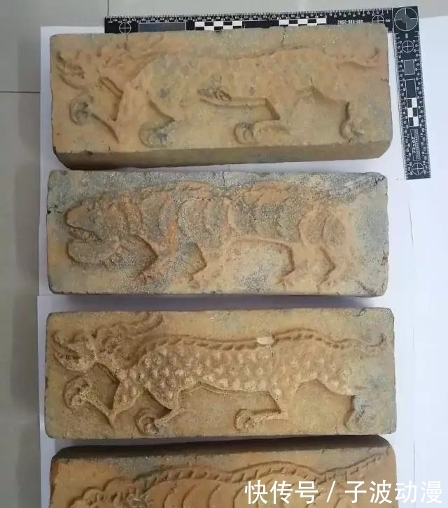 犯罪嫌疑人|两名“摸金校尉”在三明分金定穴？栽了！
