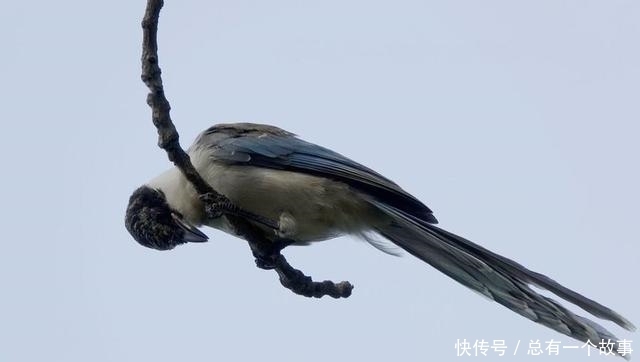 高考|2020年高考,在无数泪光中崛起