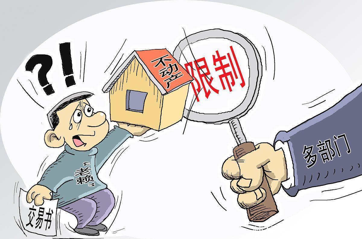 向某|网上借1000元逾期不还成老赖 采取了限制高消费