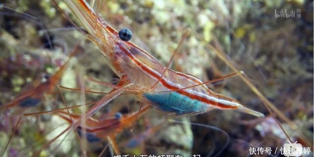  视效|仅4个人，拍出了今年最顶级的视效大片