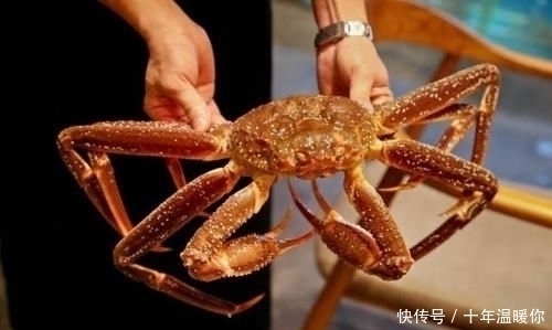 车厘子|迪拜炫富“金咖啡”,韩国炫富“烤肉”,都不如中国炫富“痛快”