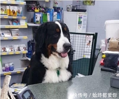 学校|搞笑段子趣味图片:哈哈,跑道都被你们弄坏了,学校亏大了