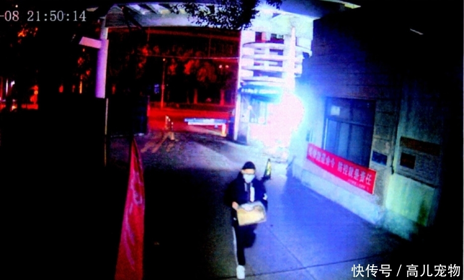 曲某|4天偷5个快递！这名研究生被判刑