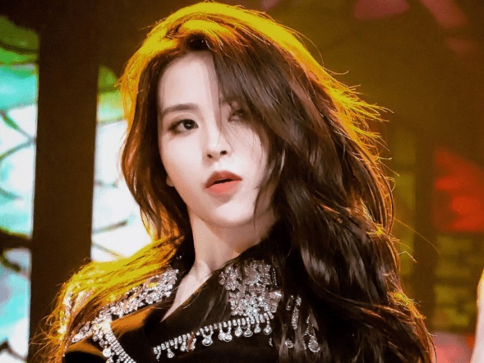  优秀|乐华并未走下神坛，树懒金子涵上位，她的优秀值得拥有