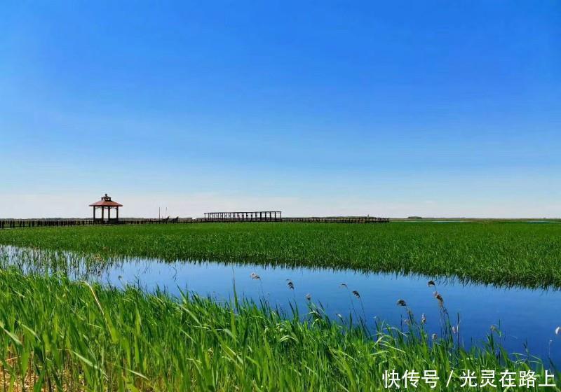 嫩江|映像中国—这里被称为“丹顶鹤之乡”,这里有众多湿地保护区景观