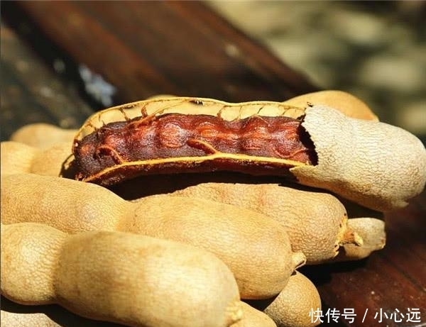 猪血丸子|看了没食欲,一吃就停不下来的4种中国特产,这就是“不可貌相”