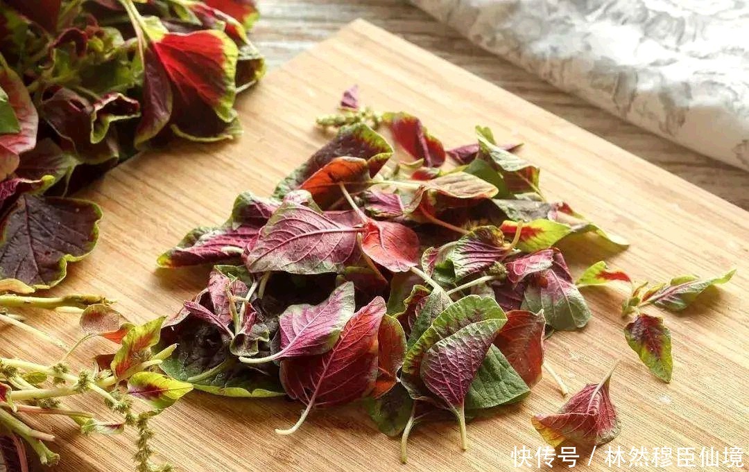  菠菜|这种蔬菜含钙量是菠菜的三倍，做饺子馅特别香