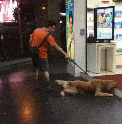 搞笑|搞笑GIF:孩子,你怎么那么懒呢?你就放心啊!