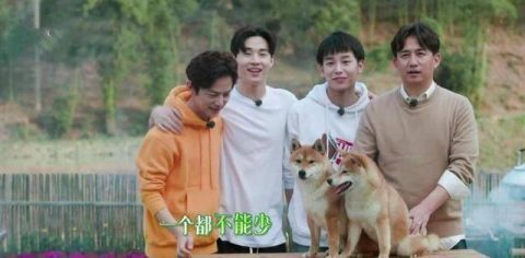 老狐狸|黄磊表示:刘宪华主动退出,和自己无关!常驻MC永远都是男人帮