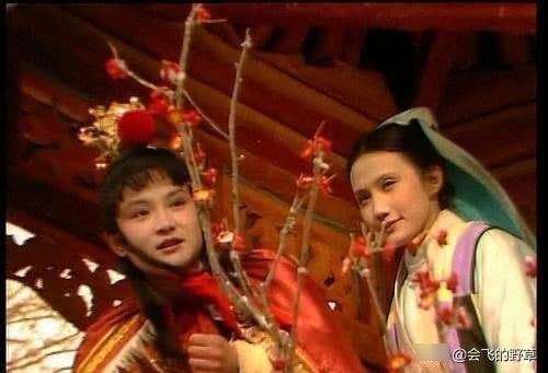 谜团|此人在贾府中守活寡又高龄产女,成为《红楼梦》中最大谜团