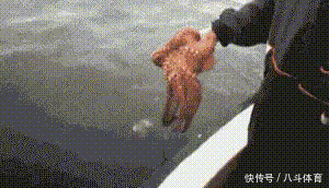  gif|搞笑gif：为了藏5元私房钱，又逼疯了一个