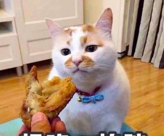 小康妹儿|在我国,有上亿人处于糖尿病前期却不自知