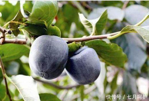 营养|好食物吃出好身体,3种食物不可少,补充营养,有益健康!