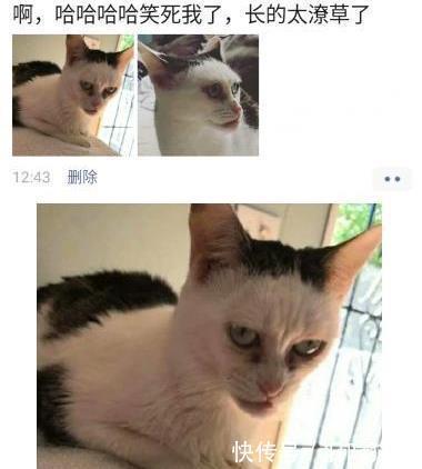 本事|如果有人因你长的太丑给你200块,你会接受吗?这是凭本事拿的