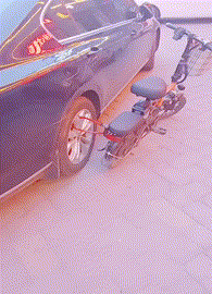 后备箱|搞笑GIF:铲屎的,告诉你,赶紧把我放了,否则我拆了你的后备箱